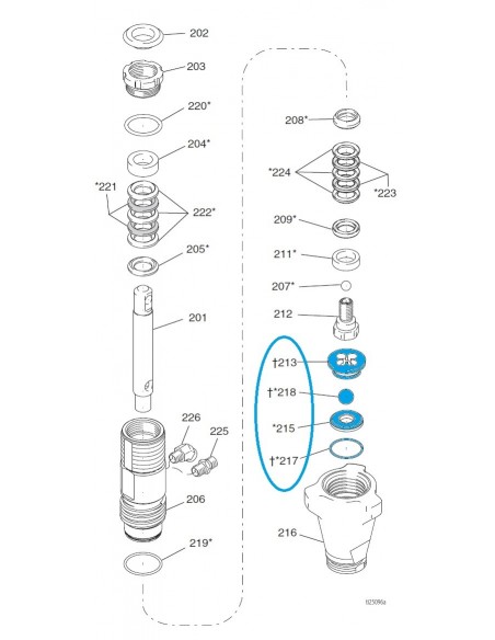 Kit joints bas de pompe Graco - Virages